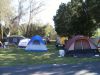 Camping Area (6)~0.JPG